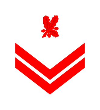 Deniz Kuvvetleri Çavuş rütbe işareti